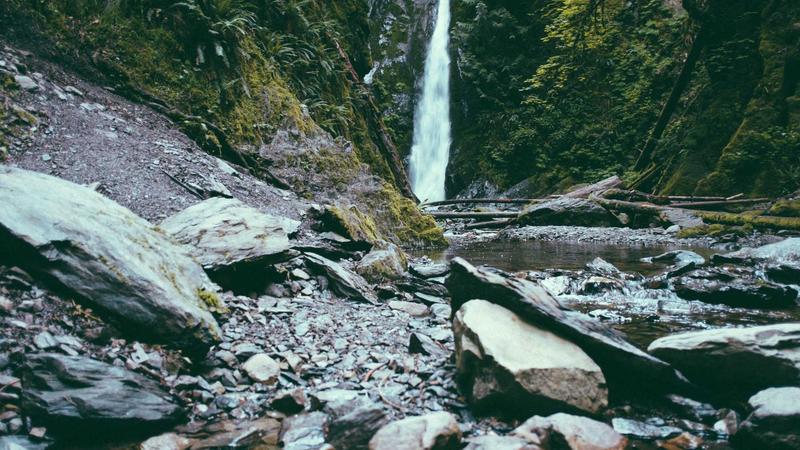 The Ninja Creami Is At Its Lowest Price Ever - Here's How To Flip It Into A Side Hustle