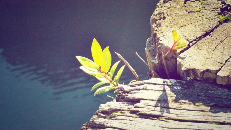 AI Writing & Content Tools: The Complete 2026 Guide to Making $3K–$15K/Month
