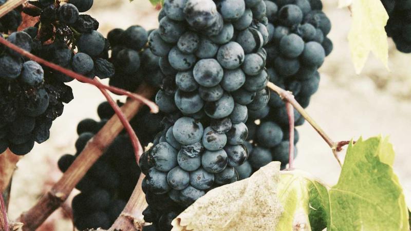 GPT-5 Just Cracked a 3-Year Science Mystery and That's Your Money Signal