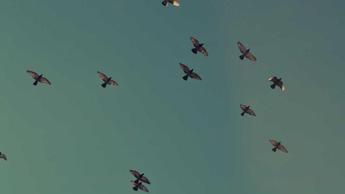 AI Hiring Bias: Beat the Bots and Get Hired